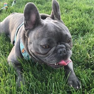 Meet your Posher, Thi